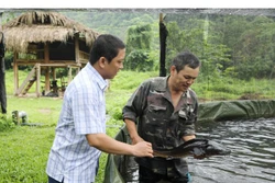 គំរូចិញ្ចឹមត្រីទឹកត្រជាក់នាំមកនូវប្រសិទ្ធភាពសេដ្ឋកិច្ចខ្ពស់នៅឃុំ ថឹនសា (ខេត្ត ថៃង្វៀន)។