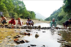 ប្រជាជនរីករាយត្រេកអរពេល ‟រក” ត្រីបានច្រើន។ រូបថត៖ ឡេ ភឿកង៉ុក - ទីភ្នាក់ងារព័ត៌មានវៀតណាម