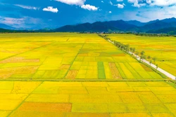 វាលស្រែ មឿងថាញ់ ដោយមានផ្ទៃដីជាង ១៤០ គីឡូម៉ែត្រការ៉េ គឺជាវាលស្រែធំជាងគេបំផុតតំបន់ តីបាក់ (ភូមិភាគពាយ័ព្យ)