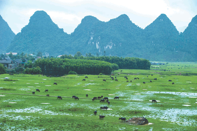 ជ្រលងភ្នំស្មៅបៃតងលាតសន្ធឹងដាច់កន្ទុយភ្នែក ចំណុចទេសភាពបរិស្ថានលេចធ្លោមួយដ៏ស្រស់ស្អាត អស្ចារ្យនៃឃុំ តឹនហ្វា