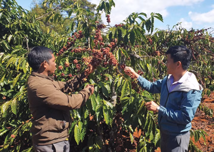 អាស្រ័យដោយចេះអនុវត្តភាពជឿនលឿនវិទ្យាសាស្ត្រ - បច្ចេកទេសចូលទៅក្នុងផលិតកម្មបានជាជីវភាពបងប្អូនជនជាតិនៅលើភូមិសាស្ត្រស្រុក ដាកឌ័រ (ខេត្ត យ៉ាឡាយ) កាន់តែបានកែលម្អពីមួយថ្ងៃទៅមួយថ្ងៃ
