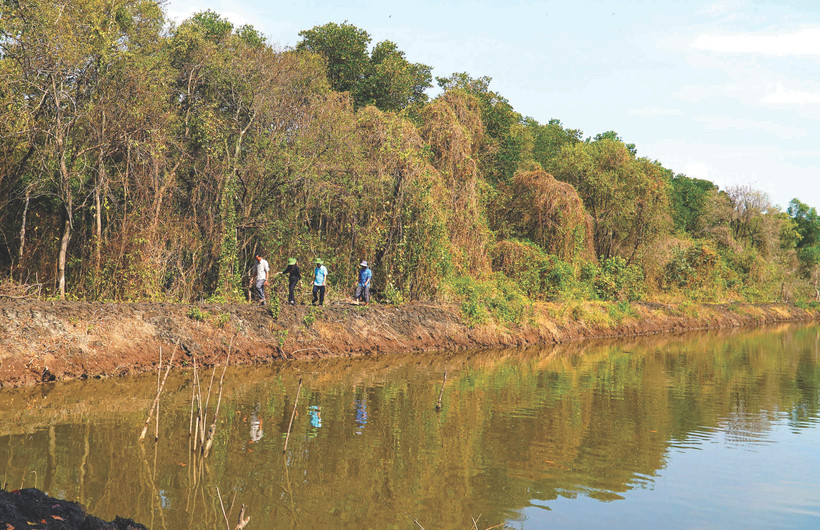 ប្រជាជនរួមជាមួយនឹងកម្មាភិបាលការិយាល័យកសិកម្មនិងអភិវឌ្ឍន៍ជនបទស្រុក ហនដឹត គណៈកម្មាធិការប្រជាជនឃុំ លិញហ្វ៊ិញ ចុះពិនិត្យព្រៃការពារ