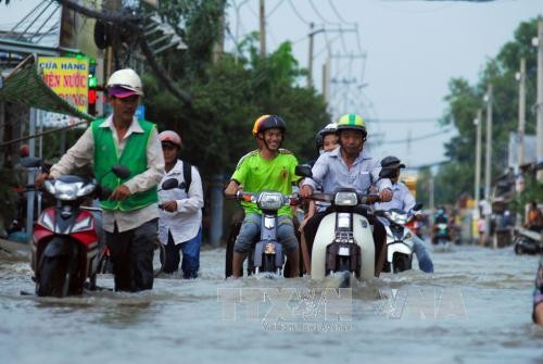 ខ្សែផ្លូវ លេវ៉ាន់លឿង (ស្រុក ញ៉ាបែ) ប្រវែងជាង ៥ គីឡូម៉ែត្រត្រូវលិចនៅកណ្តាលអន្លង់នៃសមុទ្រទឹក មានកន្លែងខ្លះលិចជិត ១ ម៉ែត្រ។ រូបថត៖ ម៉ាញ់លិញ -ទីភ្នាក់ងារព័ត៌មាន វៀតណាម