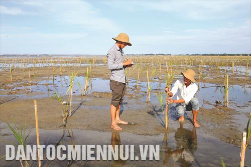 ខេត្ត ធឿធៀន - ហ្វេ តូ្រវបានវាយតមៃជា្ល មូលដ្ឋានមួយកុ្នងចណោំ មមូលដ្ឋានដែលមានលក្ខណៈជីវចមុ្រះខ្ពស់ជាពិសេសគឺនៅបណ្ដាមណ្ឌលអភិរក្សធម្មជាតិ សាវឡា ផុងដៀន ឧទ្យានជាតិ បាច់ម៉ា