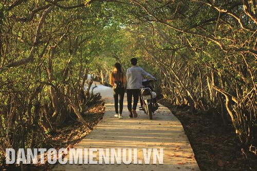 អភិរក្សនិងអភិវឌ្ឍន៍ព្រៃឈើនឹងរួមចំណែកក្នុងការធានាតុល្យភាពអេកូឡូស៊ី ការពារ បរិស្ថាន ពង្រីកប្រៀបខ្លាំងពីព្រៃឈើ