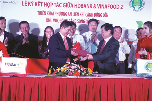 ថ្មីៗនេះ នៅទីក្រុង ហូជីមិញ អគ្គក្រុមហ៊ុនស្បៀងអាហារភាគខាងត្បូងបានចុះកិច្ចហការជាមួយធនាគារ HDBank ផ្តល់ទុនកម្ចីដល់បងប្អូនកសិករដើម្បីអនុវត្តវិធានការសហការលើវាលស្រែទ្រង់ទ្រាយធំនៅតំបន់វាលទំនាបទន្លេ គឺវឡុង ថ្មីៗនេះ នៅទីក្រុង ហូជីមិញ អគ្គក្រុមហ៊ុនស្បៀងអាហារភាគខាងត្បូងបានចុះកិច្ចហការជាមួយធនាគារ HDBank ផ្តល់ទុនកម្ចីដល់បងប្អូនកសិករដើម្បីអនុវត្តវិធានការសហការលើវាលស្រែទ្រង់ទ្រាយធំនៅតំបន់វាលទំនាបទន្លេ គឺវឡុង