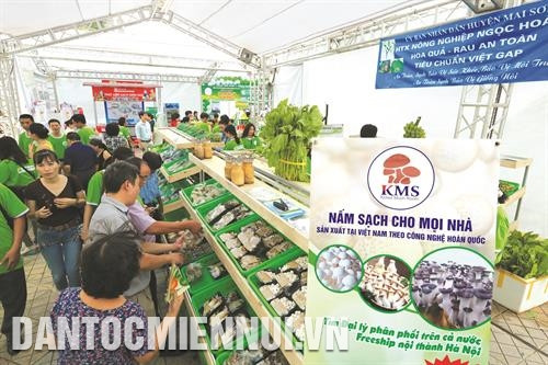 ស្តង់លក់ទំនិញដាក់លក់ផលិតផលផ្សិតស្អាត