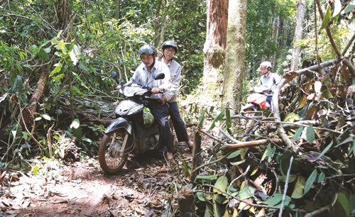 ដោយចំណុចសាលាទាំងឡាយសុទ្ធតែស្ថិតនៅជ្រៅក្នុងតំបន់ស្នូលនៃឧទ្យានជាតិ កាតទៀន បានជាលោកគ្រូ អ្នកគ្រូទាំងឡាយត្រូវធ្វើដំណើរកាត់ព្រៃដើម្បីទៅបង្រៀន
