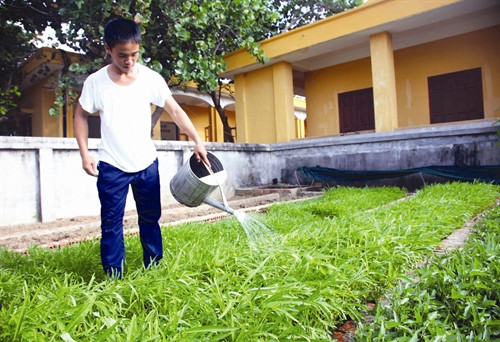 យុទ្ធជនកោះទ្រឿងសា រៀនសូត្រនិងធ្វើតាមលោកអ៊ំតាំងពីការងារនីមួយៗទងើ្វ ជាក់សែង្តនីមួយៗប្រចាំថៃ្ង