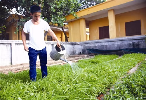 យុទ្ធជនកោះទ្រឿងសា រៀនសូត្រនិងធ្វើតាមលោកអ៊ំតាំងពីការងារនីមួយៗទងើ្វ ជាក់សែង្តនីមួយៗប្រចាំថៃ្ង