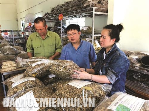 ភ្ញៀវទេសចរស្វែងយល់ពីបណ្ដាផលិតផលកសិកម្មដែលបានផលិត ចេញពីក្រូចពោធិ៍សាត់ កនកួង ផលិតផលកសិកម្មត្រូវបានដាក់តាំងលក់បម្រើភ្ញៀវទេសចរអញើ្ជញមកតំបន់ បែកខាងលិចខេត្ដ ងេអាន កោះតែ ចូវកៅ នៅឃុំ ថាញ់អាន ស្រុក ថាញ់ចឿង បានក្លាយទៅជាចំណុចទេសចរណ៍ទាក់ទាញភ្ញៀវទេសចរដ៏ច្រើនកុះករអញើ្ជញមកទស្សនា រុករកស្វែងយល់ វាលផ្កាឈូករ័ត្ននៅឃុំ ងៀសឺន ស្រុក ងៀដាន បង្អួតសម្រស់ពណ៌លឿងស្រស់ឆើតឆាយ ទាក់ទាញភ្ញៀវទេសចរជាច្រើនអញ្ជើញមកថតរូបអនុស្សាវរីយ៍ ភ្ញៀវទេសចររីករាយជក់ចិត្តពេលដែលមកទស្សនានិងបណែត្ត អារម្មណ៍ ក្នុងចម្ការក្រូចពោធិ៍សាត់នៅឃុំ បុងខេ ស្រុក កនកួង