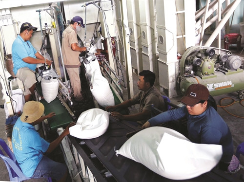 ជាច្រើនឆ្នាំមកនេះ អគ្គក្រុមហ៊ុនស្បៀងអាហារភាគខាងត្បូងតែងតែផ្តោតទៅលើការអនុវត្តកិច្ចសហការផលិតស្រូវគុណភាពខ្ពស់តាមទម្រង់រូបភាព"វាលស្រែទ្រង់ទ្រាយធំ" ឆ្លើយតបនឹងតម្រូវការប្រើប្រាស់ក្នុងនិងក្រៅប្រទេស ជាច្រើនឆ្នាំមកនេះ អគ្គក្រុមហ៊ុនស្បៀងអាហារភាគខាងត្បូងតែងតែផ្តោតទៅលើការអនុវត្តកិច្ចសហការផលិតស្រូវគុណភាពខ្ពស់តាមទម្រង់រូបភាព"វាលស្រែទ្រង់ទ្រាយធំ" ឆ្លើយតបនឹងតម្រូវការប្រើប្រាស់ក្នុងនិងក្រៅប្រទេស