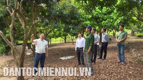 កម្មាភិបាលប្រជាចលនាណែនាំបងប្អូនជនជាតិឱ្យអនុវត្ត ទម្រង់រូបភាពដាំដំណាំហូបផ្លែលើដីចោលទំនេរ កម្មាភិបាលប្រជាចលនាណែនាំបងប្អូនជនជាតិឱ្យអនុវត្ត ទម្រង់រូបភាពដាំដំណាំហូបផ្លែលើដីចោលទំនេរ