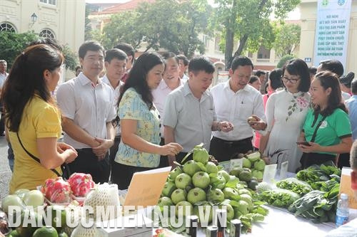 ផលិតផលផ្លែត្របែក ដុងយឺ ត្រូវបានដាក់តាំងឧទ្ទេសនាម នៅខាងក្រៅអង្គប្រជុំពីតំណភ្ជាប់ផលិតកម្ម - ការចែកចាយផលិតផលកសិ - រុក្ខកម្មនិងនេសាទកម្ម អភិវឌ្ឍខ្សែសង្វាក់ផ្គត់ផ្គង់បន្លែ សាច់ កសិផលសុវត្ថិភាពអោយទីក្រុង ហាណូយភ្លើងឆេះព្រៃ
