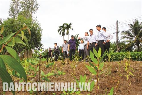 ទម្រង់រូបភាពទំនប់ច្រាំងអេកូឡូស៊ីត្រូវបានថ្នាក់ដឹកនាំខេត្ត ហូវយ៉ាង វាយតម្លៃខ្ពស់បន្ទាប់ពីការចុះទៅពិនិត្យស្រាវជ្រាវនៅខែ សីហា ឆ្នាំ ២០១៩