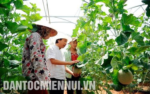 សហគ្រាសជាច្រើនហ៊ានវិនិយោគលើបណ្ដាទម្រង់រូបភាពកសិកម្មអនុវត្តបច្ចេកវិទ្យាខ្ពស់លើតំបន់ដីវាលរហោឋានដ៏ហួតហែងពោរពេញទៅដោយកម្តៅថ្ងៃនិងខ្យល់