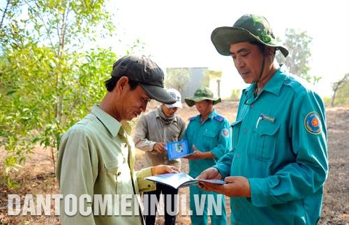 កម្មាភិបាលគណៈគ្រប់គ្រងព្រៃការពារ ឡេហុងផុង ពិនិត្យមើលអត្រារស់រាននៃឈើព្រៃគ្រប់ប្រភេទដែលត្រូវបានដាំនៅតំបន់ឃុំ ហ្វាថាំង ស្រុក បាក់ប៊ិញ ផ្សព្វផ្សាយ ចលនាប្រជាជននៅតាមបណ្ដាស្រុកប្របមាត់សមុទ្រនៃខេត្ត ប៊ិញធន់ រួបរួមគ្នាការពារព្រៃឈើ
