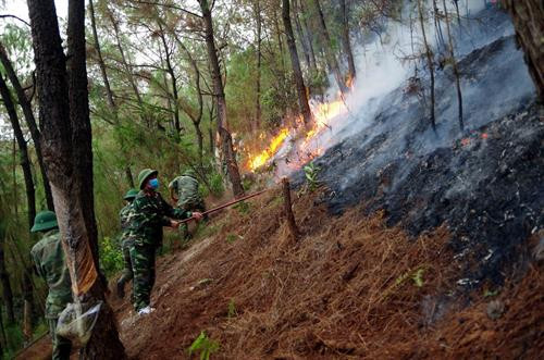 ក្រោយពីការឆេះព្រៃកាលពីថ្ងៃទី ២៨ ដល់ថ្ងៃទី ៣០ ខែ មិថុនា ព្រៃឈើរាប់រយហិកតានៅស្រុក ងីស៊ន់ (ខេត្ត ហាទិញ) ត្រូវបានឆេះខ្ទេចខ្ទី មិននៅមានលទ្ធភាពដុះដាលឡើងវិញឡើយ ប្រហែលម៉ោង ១០ យប់នៃថ្ងៃទី ២៦ ខែ មិថុនា មានករណីភ្លើងឆេះព្រៃមួយបានកើតឡើងនៅភូមិសាស្រ្តឃុំ ខាញ់សឺន ១ ស្រុក ណាមដាន (ខេត្ត ងេអាន) បន្សល់ទុកនូវការខូចខាតយ៉ាងធ្ងន់ធ្ងរ។ ក្នុងរូបថត៖ ពួតដៃជាមួយមូលដ្ឋាន កម្មាភិបាល យុទ្ធជននៃបញ្ជាការដ្ឋាន យោធាខេត្ត ងេអាន និងកងពលតូច កងវិស្វកម្មលេខ ៤១៤ ចូលរួមពន្លត់ភ្លើងឆេះព្រៃ