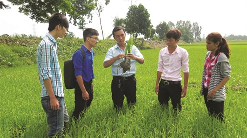 ណែនាំនិស្សិតសិក្សាសម្គាល់អត្តសញ្ញាណនៃដង្កូវជំងឺលើដើមស្រូវនៅសកលវិទ្យាល័យ អានយ៉ាង ណែនាំនិស្សិតសិក្សាសម្គាល់អត្តសញ្ញាណនៃដង្កូវជំងឺលើដើមស្រូវនៅសកលវិទ្យាល័យ អានយ៉ាង