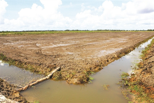 តាមដានអាកាសធាតុដើម្របីបង្ហូតទឹកបនា្ទប់ពីរដូវចិញ្ចឹមបង្គា រង់ចាភ្លៀងធា្លាក់សម្រប់ជម្រះជាតិប្រៃអោយដី តាមដានអាកាសធាតុដើម្របីបង្ហូតទឹកបនា្ទប់ពីរដូវចិញ្ចឹមបង្គា រង់ចាភ្លៀងធា្លាក់សម្រប់ជម្រះជាតិប្រៃអោយដី