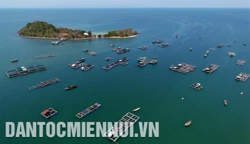 កប៉ាល់នាវាទៅមកកុះករនៅម្ដុំកំពង់ចម្លង ហាតៀន ចំណុះសង្កាត់ តូចូវ ទីក្រុង ហាតៀន ផ្លែត្នោត - ភោគផលពិសេសប្រចាំតំបន់របស់បងប្អូនជនជាតិ ខ្មែរ នៅទីក្រុង ហាតៀន របរចិញ្ចឹមត្រីក្នុងទ្រុងបែនៅតំបន់សមុទ្រចំណុះឃុំកោះ តៀនហាយ ទីក្រុង ហាតៀន គឺជារបររកស៊ីចិញ្ចឹមជីវិតរបស់ប្រជាជនផង ហើយជាទីដៅទេសចរណ៍ដ៏ទាក់ទាញភ្ញៀវទេសចរជាតិនិងអន្តរជាតិផង