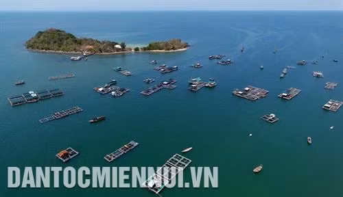 កប៉ាល់នាវាទៅមកកុះករនៅម្ដុំកំពង់ចម្លង ហាតៀន ចំណុះសង្កាត់ តូចូវ ទីក្រុង ហាតៀន ផ្លែត្នោត - ភោគផលពិសេសប្រចាំតំបន់របស់បងប្អូនជនជាតិ ខ្មែរ នៅទីក្រុង ហាតៀន របរចិញ្ចឹមត្រីក្នុងទ្រុងបែនៅតំបន់សមុទ្រចំណុះឃុំកោះ តៀនហាយ ទីក្រុង ហាតៀន គឺជារបររកស៊ីចិញ្ចឹមជីវិតរបស់ប្រជាជនផង ហើយជាទីដៅទេសចរណ៍ដ៏ទាក់ទាញភ្ញៀវទេសចរជាតិនិងអន្តរជាតិផង