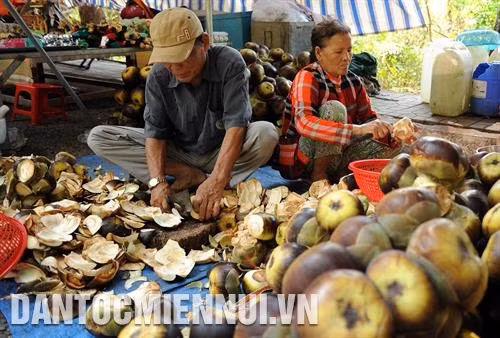 កប៉ាល់នាវាទៅមកកុះករនៅម្ដុំកំពង់ចម្លង ហាតៀន ចំណុះសង្កាត់ តូចូវ ទីក្រុង ហាតៀន ផ្លែត្នោត - ភោគផលពិសេសប្រចាំតំបន់របស់បងប្អូនជនជាតិ ខ្មែរ នៅទីក្រុង ហាតៀន របរចិញ្ចឹមត្រីក្នុងទ្រុងបែនៅតំបន់សមុទ្រចំណុះឃុំកោះ តៀនហាយ ទីក្រុង ហាតៀន គឺជារបររកស៊ីចិញ្ចឹមជីវិតរបស់ប្រជាជនផង ហើយជាទីដៅទេសចរណ៍ដ៏ទាក់ទាញភ្ញៀវទេសចរជាតិនិងអន្តរជាតិផង