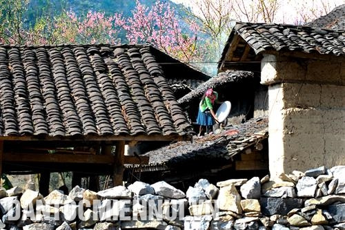 កំពូលនៃជម្រាលភ្នំ ម៉ាពីឡែង ជាកំពូលមួយក្នុងចំណោមកំពូលនៃជម្រាលភ្នំធំទាំងបួន របស់ប្រទេស វៀតណាម។ នៅម្ខាងគឺជាជួរភ្នំថ្មបញ្ឈរឯម្ខាងទៀតគឺជ្រលង ជ្រៅដែលមានទន្លេ ញ៉គ្វេ ហូរបត់បែនតាមប្រឡោះនៃផ្ទាំងថ្មនីមួយៗ ផ្សារណាត់ ដុងវ៉ាន់ បើកលក់រៀងរាល់ថ្ងៃអាទិត្យប្រចាំសប្ដាហ៍។ ឆ្នាំថ្មី ប្រសិនបើមានឱកាសមកទីនេះ ភ្ញៀវទេសចរកុំមើលរំលងផ្សារ និទាឃរដូវដែលកំបាំងខ្លួននាកណ្ដាលជញ្ជាំងភ្នំថ្មនិងផ្ទាំងពពកទាំងឡាយនេះអោយសោះ និទាឃរដូវនៅ ដុងវ៉ាន់ ស្រស់ស្អាតស្ទើរស្រូបទាញស្មារតីជាមួយនឹងផ្កាព្រូន ផ្កាម៉ាក់ខៃប្រជែងគ្នាបង្អួតសម្រស់ បញ្ចេញត្រួយលាស់ខៀវខ្ចី ជាមួយនឹងពណ៌ចម្រុះស្រស់ឆើតឆាយនៃសម្លៀកបំពាក់របស់បងប្អូនបណ្ដាជនជាតិនៅតំបន់ខ្ពស់ កំពូលនៃជម្រាលភ្នំ ម៉ាពីឡែង ជាកំពូលមួយក្នុងចំណោមកំពូលនៃជម្រាលភ្នំធំទាំងបួន របស់ប្រទេស វៀតណាម។ នៅម្ខាងគឺជាជួរភ្នំថ្មបញ្ឈរឯម្ខាងទៀតគឺជ្រលង ជ្រៅដែលមានទន្លេ ញ៉គ្វេ ហូរបត់បែនតាមប្រឡោះនៃផ្ទាំងថ្មនីមួយៗ ផ្សារណាត់ ដុងវ៉ាន់ បើកលក់រៀងរាល់ថ្ងៃអាទិត្យប្រចាំសប្ដាហ៍។ ឆ្នាំថ្មី ប្រសិនបើមានឱកាសមកទីនេះ ភ្ញៀវទេសចរកុំមើលរំលងផ្សារ និទាឃរដូវដែលកំបាំងខ្លួននាកណ្ដាលជញ្ជាំងភ្នំថ្មនិងផ្ទាំងពពកទាំងឡាយនេះអោយសោះ និទាឃរដូវនៅ ដុងវ៉ាន់ ស្រស់ស្អាតស្ទើរស្រូបទាញស្មារតីជាមួយនឹងផ្កាព្រូន ផ្កាម៉ាក់ខៃប្រជែងគ្នាបង្អួតសម្រស់ បញ្ចេញត្រួយលាស់ខៀវខ្ចី ជាមួយនឹងពណ៌ចម្រុះស្រស់ឆើតឆាយនៃសម្លៀកបំពាក់របស់បងប្អូនបណ្ដាជនជាតិនៅតំបន់ខ្ពស់