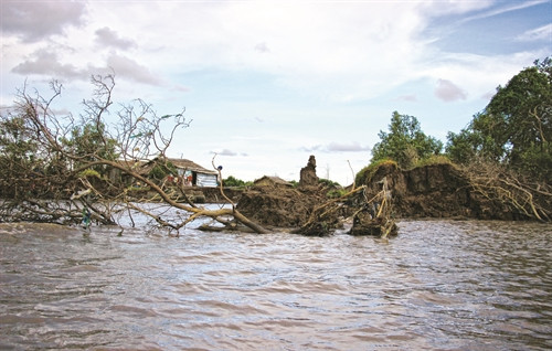 ខ្សែក្រវ៉ាត់ព្រៃការពារច្រើនកំណាត់ត្រូវខូចខាតបានគំរាមកំហែងដោយផ្ទាល់ដល់ជីវភាពរស់នៅនិងការបង្កបង្កើនផលរបស់ប្រជាជន ខ្សែក្រវ៉ាត់ព្រៃការពារច្រើនកំណាត់ត្រូវខូចខាតបានគំរាមកំហែងដោយផ្ទាល់ដល់ជីវភាពរស់នៅនិងការបង្កបង្កើនផលរបស់ប្រជាជន