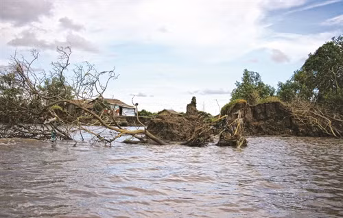 ខ្សែក្រវ៉ាត់ព្រៃការពារច្រើនកំណាត់ត្រូវខូចខាតបានគំរាមកំហែងដោយផ្ទាល់ដល់ជីវភាពរស់នៅនិងការបង្កបង្កើនផលរបស់ប្រជាជន ខ្សែក្រវ៉ាត់ព្រៃការពារច្រើនកំណាត់ត្រូវខូចខាតបានគំរាមកំហែងដោយផ្ទាល់ដល់ជីវភាពរស់នៅនិងការបង្កបង្កើនផលរបស់ប្រជាជន