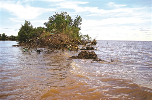 ការបាក់សុត្រ ដីបានធើ្វអោយផ្ទៃដីព្រៃការពារជាចើ្រនឥឡូវនេះនៅសល់តឹ្រមតែប៉ុន្មានមែត្រប៉ុណ្ណោះ ការបាក់សុត្រ ដីបានធើ្វអោយផ្ទៃដីព្រៃការពារជាចើ្រនឥឡូវនេះនៅសល់តឹ្រមតែប៉ុន្មានមែត្រប៉ុណ្ណោះ