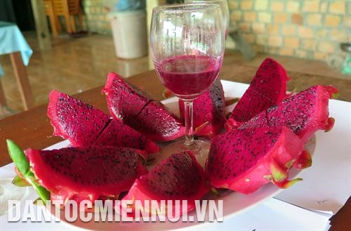 ចម្ការស្រកានាគសាច់ក្រហមរបស់គ្រួសារលោក ឡេស៊ន់ភុក នៅក្រុមលេខ ១០ ភូមិ កនស្កយ ឃុំ ដាក់រួង ស្រុក កនរ៉ី ស្រកានាគសាច់ករហមជាប្រភេទផ្លែសម្បូរសារធាតុចិញ្ចឹម ផ្អែមត្រជាក់មានគុណប្រយោជន៍ជាច្រើនចំពោះសុខភាព