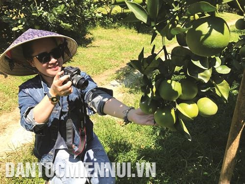 ភ្ញៀវទេសចរស្វែងយល់ពីបណ្ដាផលិតផលកសិកម្មដែលបានផលិត ចេញពីក្រូចពោធិ៍សាត់ កនកួង ផលិតផលកសិកម្មត្រូវបានដាក់តាំងលក់បម្រើភ្ញៀវទេសចរអញើ្ជញមកតំបន់ បែកខាងលិចខេត្ដ ងេអាន កោះតែ ចូវកៅ នៅឃុំ ថាញ់អាន ស្រុក ថាញ់ចឿង បានក្លាយទៅជាចំណុចទេសចរណ៍ទាក់ទាញភ្ញៀវទេសចរដ៏ច្រើនកុះករអញើ្ជញមកទស្សនា រុករកស្វែងយល់ វាលផ្កាឈូករ័ត្ននៅឃុំ ងៀសឺន ស្រុក ងៀដាន បង្អួតសម្រស់ពណ៌លឿងស្រស់ឆើតឆាយ ទាក់ទាញភ្ញៀវទេសចរជាច្រើនអញ្ជើញមកថតរូបអនុស្សាវរីយ៍ ភ្ញៀវទេសចររីករាយជក់ចិត្តពេលដែលមកទស្សនានិងបណែត្ត អារម្មណ៍ ក្នុងចម្ការក្រូចពោធិ៍សាត់នៅឃុំ បុងខេ ស្រុក កនកួង