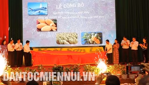 ថ្នាក់ដឹកនាំនៃក្រសួងកសិកម្មនិងអភិវឌ្ឍន៍ជនបទខេត្ត សឺនឡា សហគ្រាសនាំចេញនិងសហករណ៍ដែលមានស្វាយនាំចេញប្រារព្ធពិធីប្រកាសផលិតផលស្វាយនាំចេញឆ្នាំ ២០១៩