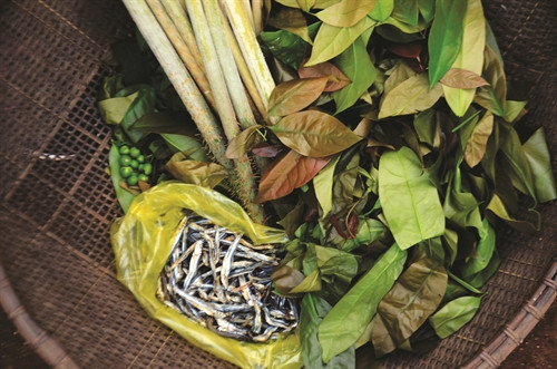 បន្លែព្រៃនិងត្រីទឹកជ្រោះគឺជាគ្រឿងផ្សំសំខាន់សម្រាប់កែច្នៃមុខម្ហូប "សម្លធុត"