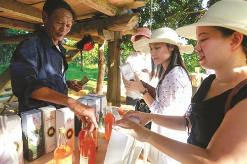 ភ្ញៀវទេសចរស្វែងយល់ពីបណ្ដាផលិតផលកសិកម្មដែលបានផលិត ចេញពីក្រូចពោធិ៍សាត់ កនកួង ផលិតផលកសិកម្មត្រូវបានដាក់តាំងលក់បម្រើភ្ញៀវទេសចរអញើ្ជញមកតំបន់ បែកខាងលិចខេត្ដ ងេអាន កោះតែ ចូវកៅ នៅឃុំ ថាញ់អាន ស្រុក ថាញ់ចឿង បានក្លាយទៅជាចំណុចទេសចរណ៍ទាក់ទាញភ្ញៀវទេសចរដ៏ច្រើនកុះករអញើ្ជញមកទស្សនា រុករកស្វែងយល់ វាលផ្កាឈូករ័ត្ននៅឃុំ ងៀសឺន ស្រុក ងៀដាន បង្អួតសម្រស់ពណ៌លឿងស្រស់ឆើតឆាយ ទាក់ទាញភ្ញៀវទេសចរជាច្រើនអញ្ជើញមកថតរូបអនុស្សាវរីយ៍ ភ្ញៀវទេសចររីករាយជក់ចិត្តពេលដែលមកទស្សនានិងបណែត្ត អារម្មណ៍ ក្នុងចម្ការក្រូចពោធិ៍សាត់នៅឃុំ បុងខេ ស្រុក កនកួង