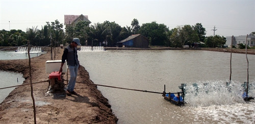ស្រះចិញ្ចឹមបង្គារបស់សេដ្ឋីវ័យក្មេងឡឹមវ៉ាន់លិញ នៅភូមិ បៀនដុង ឃុំ វិញត្រាច់ដុង ទីក្រុង បាកលាវ