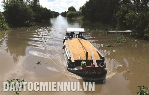 ឈ្មួញប្រមូលទិញ ដឹកជញ្ជូនស្រូវផ្គត់ផ្គង់អោយបណ្តារោងចក្រកែច្នៃអង្ករនាំចេញនៅខេត្ត គៀនយ៉ាង