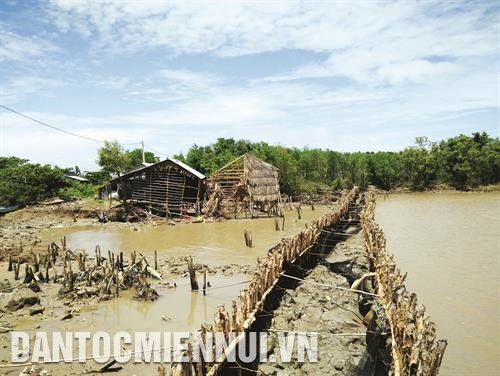 បងប្អូនមាមីងនៅភូមិ គីមគ្វី ឃុំ វ៉ឹនខាញ់ស្រុក អានមិញ (ខេត្ត គៀនយ៉ាង) បានជួសជុលប៉ះប៉ូវច្រាំងទំនប់ដើម្បីទប់ទល់ជាមួយនឹងរលកសមុទ្រ