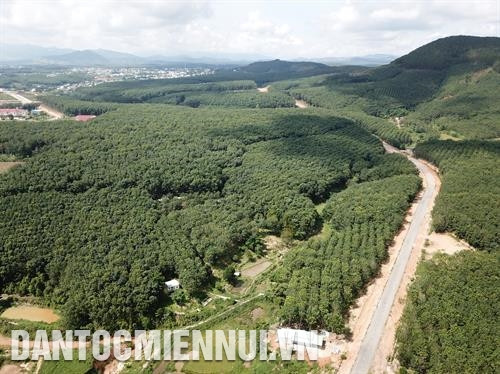 មកដល់ឃុំនានានៅតំបន់ជ្រៅ តំបន់ឆ្ងាយដាច់ស្រយាលនៃស្រុក ង៉ុកហូយ កន្លែងណាក៏ឃើញព័ណ៌បៃតងស្រងាត់នៃបណ្ដាដងព្រៃកៅស៊ូ ចម្ការកាហ្វេខៀវល្មឿង ផ្លែរយោងរយាន