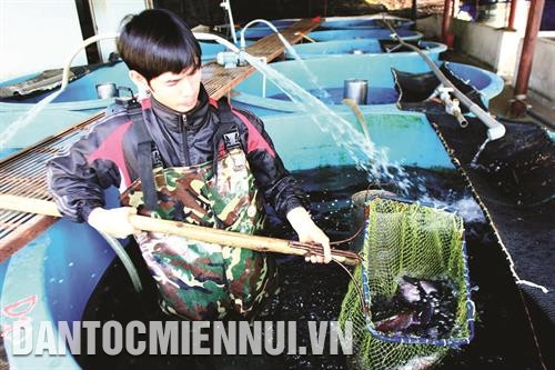 ការចិញ្ចឹមត្រីសាល់ម៉ុង Oncorhynchus  mykiss ចាំបាច់ត្រូវមានរបបត្រួតពិនិត្យជាប្រចាំ កត់ត្រាជារៀងរាល់ថ្ងៃអំពីរបបទឹក ចំណី ការប្រើប្រាស់ថ្នាំ។ល។ រូបថត៖ វូស៊ិញ ការចិញ្ចឹមត្រីសាល់ម៉ុង Oncorhynchus  mykiss ចាំបាច់ត្រូវមានរបបត្រួតពិនិត្យជាប្រចាំ កត់ត្រាជារៀងរាល់ថ្ងៃអំពីរបបទឹក ចំណី ការប្រើប្រាស់ថ្នាំ។ល។ រូបថត៖ វូស៊ិញ