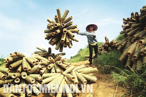 ផ្ដើមពីរាប់សិបក្រុមគ្រួសារផុសគំនិតត្បាញទ្រូនាគ្រាដំបូង មកដល់ពេលនេះទូទាំងឃុំមានក្រុមគ្រួសារចំនួន ៣៥០ គ្រួសារប្រកបរបរត្បាញទ្រូដាក់បង្គា