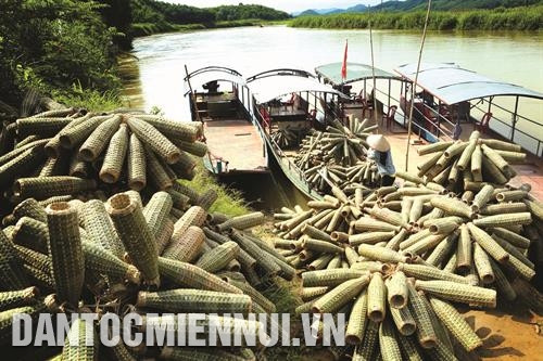 ទ្រូដាក់បង្គាត្រូវបានដឹកជញ្ជូនយកទៅលក់នៅបណ្តាឃុំជិតខាងដែលនៅប្របអាងស្តុកទឹកវារីអគ្គិសនី ថាតបា