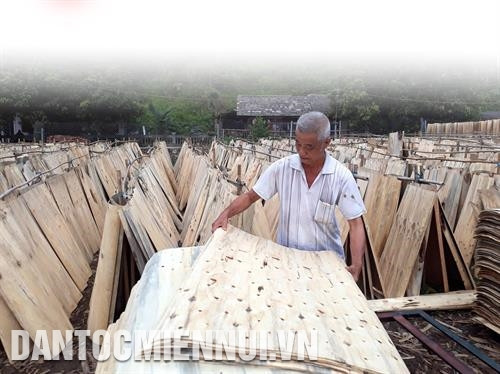 ការផលិតឈើវេនានាំមកនូវប្រសិទ្ធភាពសេដ្ឋកិច្ចខ្ពស់ជូនក្រុមគ្រួសារបងប្អូនជនជាតិជាច្រើនដែលរស់នៅក្នុងឃុំ អៀនយឿង ស្រុក បាបេ។ រូបថត៖ ឌឹកហៀវ ការផលិតឈើវេនានាំមកនូវប្រសិទ្ធភាពសេដ្ឋកិច្ចខ្ពស់ជូនក្រុមគ្រួសារបងប្អូនជនជាតិជាច្រើនដែលរស់នៅក្នុងឃុំ អៀនយឿង ស្រុក បាបេ។ រូបថត៖ ឌឹកហៀវ