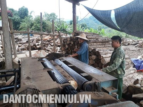 ប៉ុន្មានឆ្នាំថ្មីៗ នេះ បុគ្គលនិងអាជីវកម្មមួយចំនួននៅលើភូមិសាស្រ្តខេត្ត បាក់កាន បានវិនិយោគគ្រឿងម៉ាស៊ីនកែច្នៃឈើ បង្កការងារជូនពលករនៅជនបទផងព្រមទាំងជំរុញសេដ្ឋកិច្ចព្រៃអភិវឌ្ឍន៍ផងដែរ។ រូបថត៖ ឌឹកហៀវ ប៉ុន្មានឆ្នាំថ្មីៗ នេះ បុគ្គលនិងអាជីវកម្មមួយចំនួននៅលើភូមិសាស្រ្តខេត្ត បាក់កាន បានវិនិយោគគ្រឿងម៉ាស៊ីនកែច្នៃឈើ បង្កការងារជូនពលករនៅជនបទផងព្រមទាំងជំរុញសេដ្ឋកិច្ចព្រៃអភិវឌ្ឍន៍ផងដែរ។ រូបថត៖ ឌឹកហៀវ