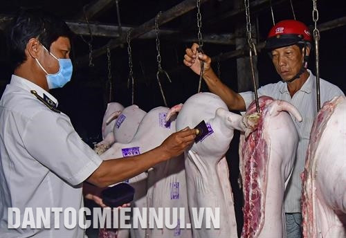 ជ្រូកបន្ទាប់ពីពិឃាតតម្រូវបានធ្វើចត្តាឡីស័កមុនពេលនាំយកទៅលក់ ជ្រូកបន្ទាប់ពីពិឃាតតម្រូវបានធ្វើចត្តាឡីស័កមុនពេលនាំយកទៅលក់