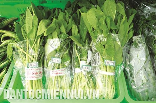 ផលិតផលកសិកម្មស្អាតមួយចំនួនរបស់ ហាណូយ