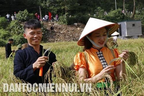 ដំណើប ទូឡេ ត្រូវបានចាត់ទៅក្នុងចំណោមប្រភេទដំណើបឆ្ងាញ់បំផុតរបស់ វៀតណាម