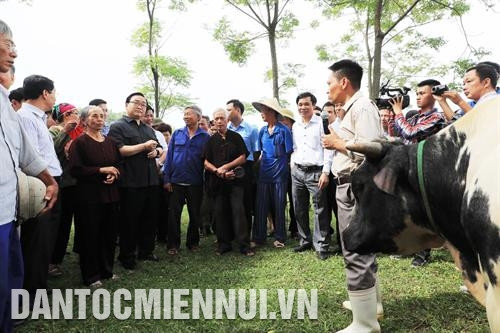 លេខា គណៈកម្មាធិការបក្សទីក្រុង ហាណូយ ហ្វាងទ្រុងហាយ អញ្ជើញមកសួរសុខទុក្ខនិងលើកទឹកចិត្តក្រុមគ្រួសារកសិករចិញ្ចឹមពូជគោ 3B នៅឃុំតុងបាត ស្រុក បាវី