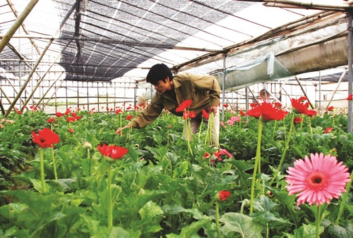 មានចម្ងាយពីមជ្ឈមណ្ឌលទីក្រុងប្រមា ណ ១៥ គីឡូម៉ែត្រ ភូមិផ្កាប្រពៃណី តីទឺវ ស្ថិត នៅខណ្ឌ បាក់ទឺលៀម ត្រូវបានចាត់ទុកជាភូមិផ្កាធំបំផុតនៅ ហាណូយ មានចម្ងាយពីមជ្ឈមណ្ឌលទីក្រុងប្រមា ណ ១៥ គីឡូម៉ែត្រ ភូមិផ្កាប្រពៃណី តីទឺវ ស្ថិត នៅខណ្ឌ បាក់ទឺលៀម ត្រូវបានចាត់ទុកជាភូមិផ្កាធំបំផុតនៅ ហាណូយ